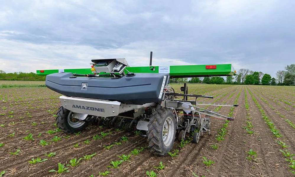 FarmDroid FD20 jest już używany w gospodarstwach ekologicznych do siewu i mechanicznego zwalczania chwastów nie tylko w uprawie buraków cukrowych, ale także innych roślin.